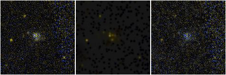 Missing file PGC2801027-custom-montage-FUVNUV.png