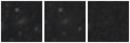 Missing file PGC2806949-custom-montage-W1W2.png