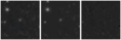 Missing file SDSSJ161622.68+345405.1-custom-montage-W1W2.png