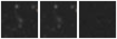 Missing file SDSSJ161708.29+434500.0-custom-montage-W1W2.png