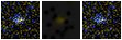 Missing file SDSSJ161813.55+203144.4-custom-montage-FUVNUV.png