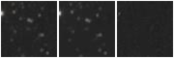 Missing file SDSSJ163010.13+200129.4-custom-montage-W1W2.png