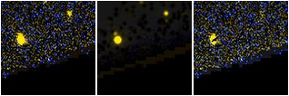 Missing file ABELL2204_18_PSE2006_0877-custom-montage-FUVNUV.png