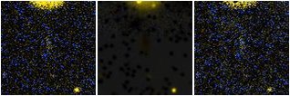 Missing file PGC2801028-custom-montage-FUVNUV.png
