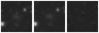 Missing file SDSSJ164021.43+284555.9-custom-montage-W1W2.png
