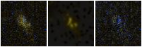 Missing file PGC2801030-custom-montage-FUVNUV.png