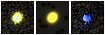 Missing file PGC059192-custom-montage-FUVNUV.png