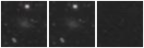 Missing file UGC10609-custom-montage-W1W2.png