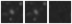 Missing file PGC2145809-custom-montage-W1W2.png