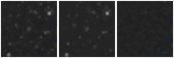 Missing file PGC2176812-custom-montage-W1W2.png
