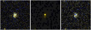 Missing file PGC1682567-custom-montage-FUVNUV.png