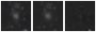 Missing file PGC2612096-custom-montage-W1W2.png