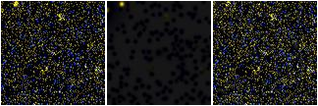 Missing file SDSSJ170033.18+225157.4-custom-montage-FUVNUV.png
