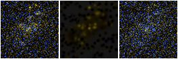 Missing file PGC1330929-custom-montage-FUVNUV.png