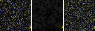 Missing file PGC2801034-custom-montage-FUVNUV.png
