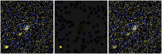 Missing file PGC167108-custom-montage-FUVNUV.png