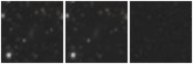 Missing file PGC167108-custom-montage-W1W2.png