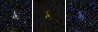 Missing file SDSSJ172730.51+622729.0-custom-montage-FUVNUV.png