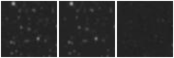 Missing file PGC3137916-custom-montage-W1W2.png