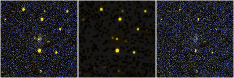 Missing file NGC6458-custom-montage-FUVNUV.png