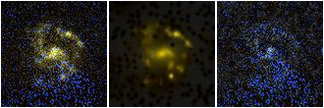 Missing file UGC11113-custom-montage-FUVNUV.png