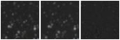 Missing file PGC2801040-custom-montage-W1W2.png