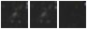 Missing file PGC061798-custom-montage-W1W2.png