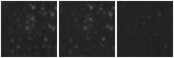 Missing file PGC3085816-custom-montage-W1W2.png