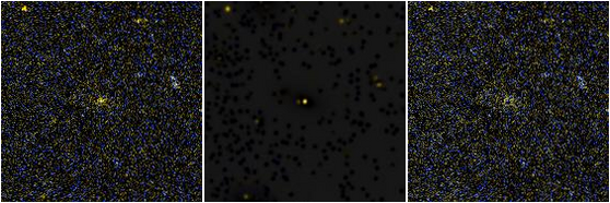Missing file UGC03981-custom-montage-FUVNUV.png