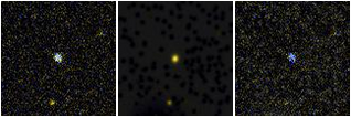 Missing file SDSSJ075651.05+111300.3-custom-montage-FUVNUV.png