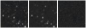 Missing file SDSSJ081030.65+183704.2-custom-montage-W1W2.png