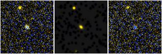 Missing file PGC1633037-custom-montage-FUVNUV.png