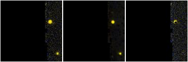 Missing file IC2256-custom-montage-FUVNUV.png