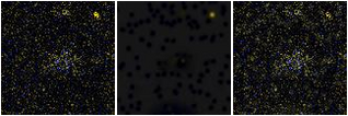Missing file PGC2807126-custom-montage-FUVNUV.png