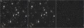 Missing file SDSSJ081915.38+224214.1-custom-montage-W1W2.png