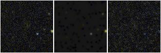 Missing file PGC142948-custom-montage-FUVNUV.png