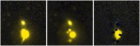 Missing file NGC2594-custom-montage-FUVNUV.png