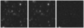 Missing file PGC2570904-custom-montage-W1W2.png