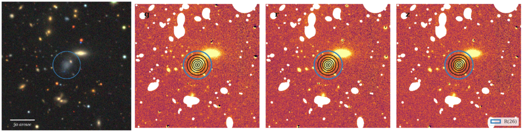 Missing file thumb-AGC181495-custom-ellipse-5201-multiband.png