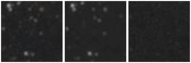 Missing file AGC189165-custom-montage-W1W2.png