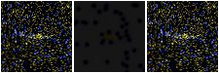 Missing file SDSSJ084723.03+591323.2-custom-montage-FUVNUV.png