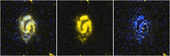 Missing file NGC2633-custom-montage-FUVNUV.png