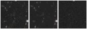 Missing file PGC2790886-custom-montage-W1W2.png