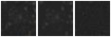 Missing file PGC086668-custom-montage-W1W2.png