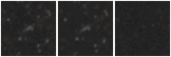 Missing file PGC1755918-custom-montage-W1W2.png