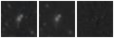 Missing file PGC2020885-custom-montage-W1W2.png