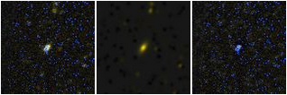 Missing file PGC2190150-custom-montage-FUVNUV.png