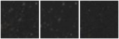 Missing file PGC2190150-custom-montage-W1W2.png