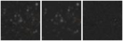 Missing file PGC2323268-custom-montage-W1W2.png