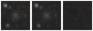 Missing file SDSSJ091531.98+594948.5-custom-montage-W1W2.png